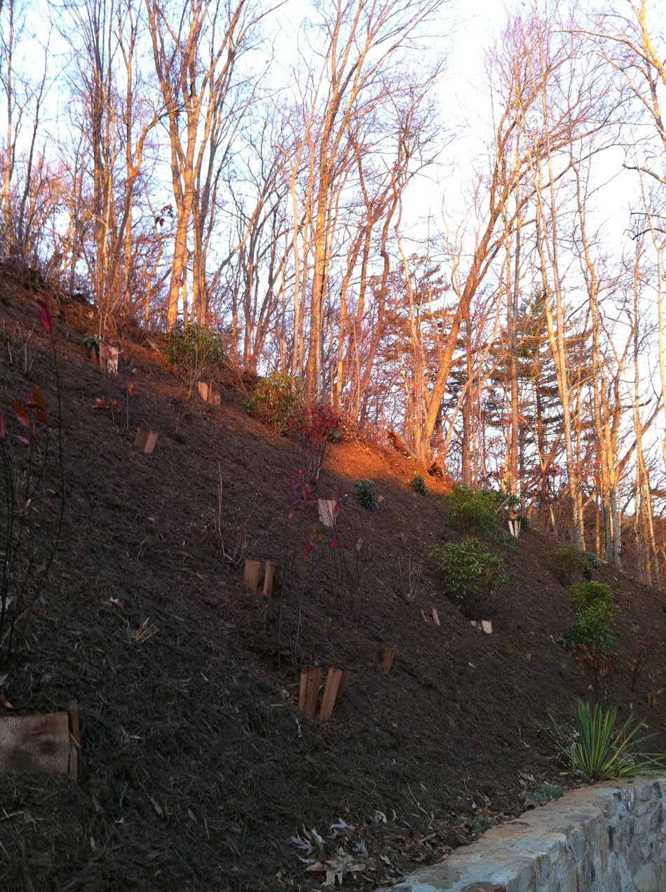 LANDSCAPE-DESIGN-STEEP-SLOPE-STABILIZATION-72dpi